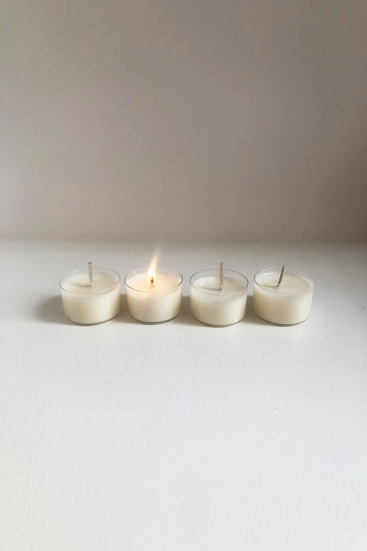 No Wallflower Project Sweet Treats Discovery Set by Candid